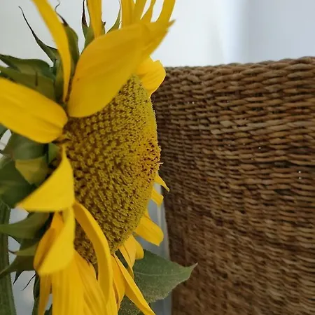 Au Jardin De Pages D'hotes Et * Lias-d'Armagnac