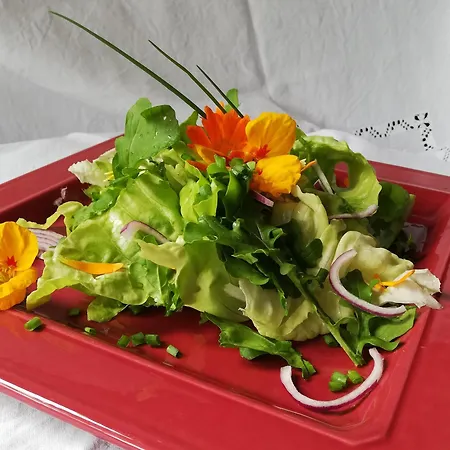 Frühstückspension Au Jardin De Pages D'hotes Et